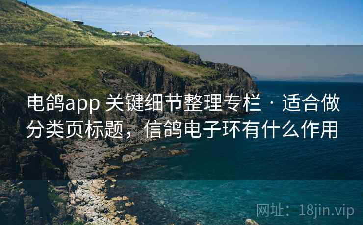电鸽app 关键细节整理专栏 · 适合做分类页标题,信鸽电子环有什么作用 电鸽app 关键细节整理专栏 · 适合做分类页标题,信鸽电子环有什么作用
