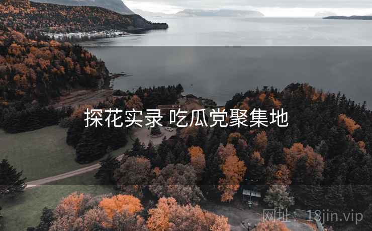探花实录 吃瓜党聚集地