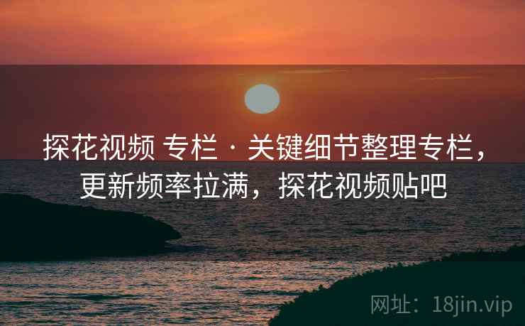 探花视频 专栏 · 关键细节整理专栏，更新频率拉满，探花视频贴吧