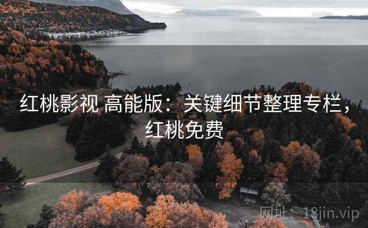 红桃影视 高能版：关键细节整理专栏，红桃免费