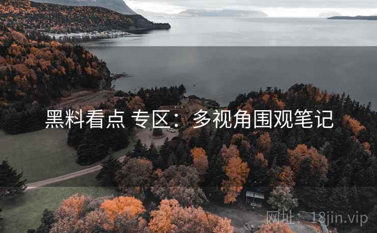黑料看点 专区：多视角围观笔记