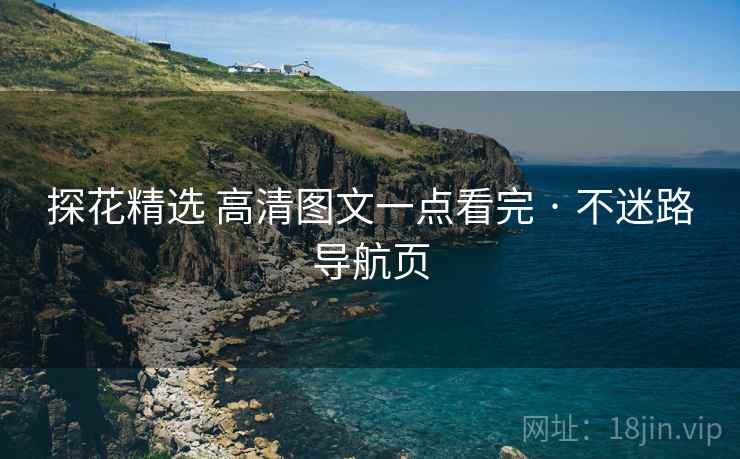 探花精选 高清图文一点看完 · 不迷路导航页