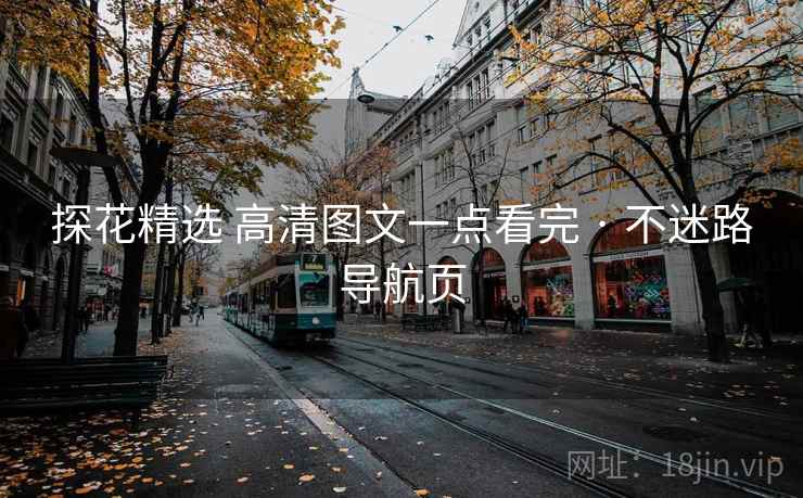 探花精选 高清图文一点看完 · 不迷路导航页